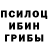 Псилоцибиновые грибы Psilocybe Daniela Lerch